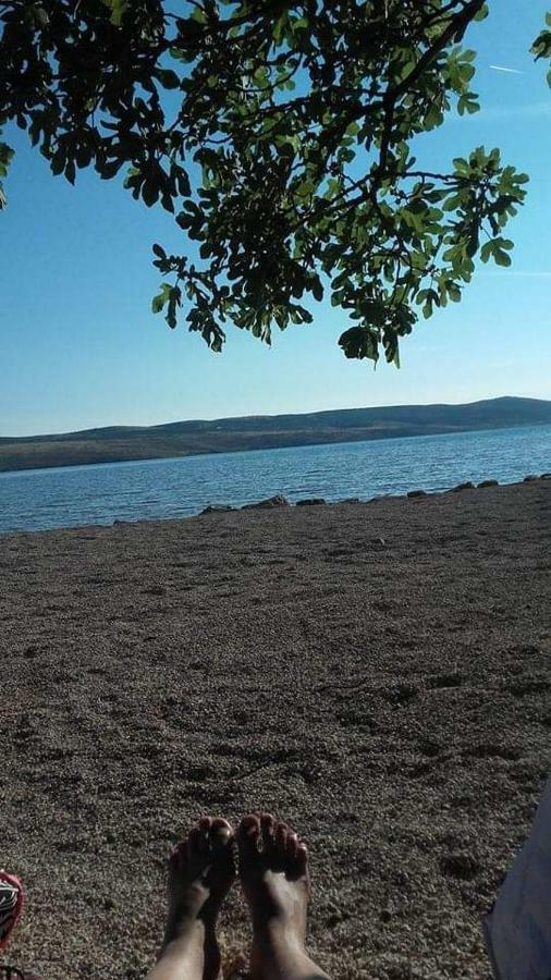 Apartman Larus Starigrad Paklenica Esterno foto